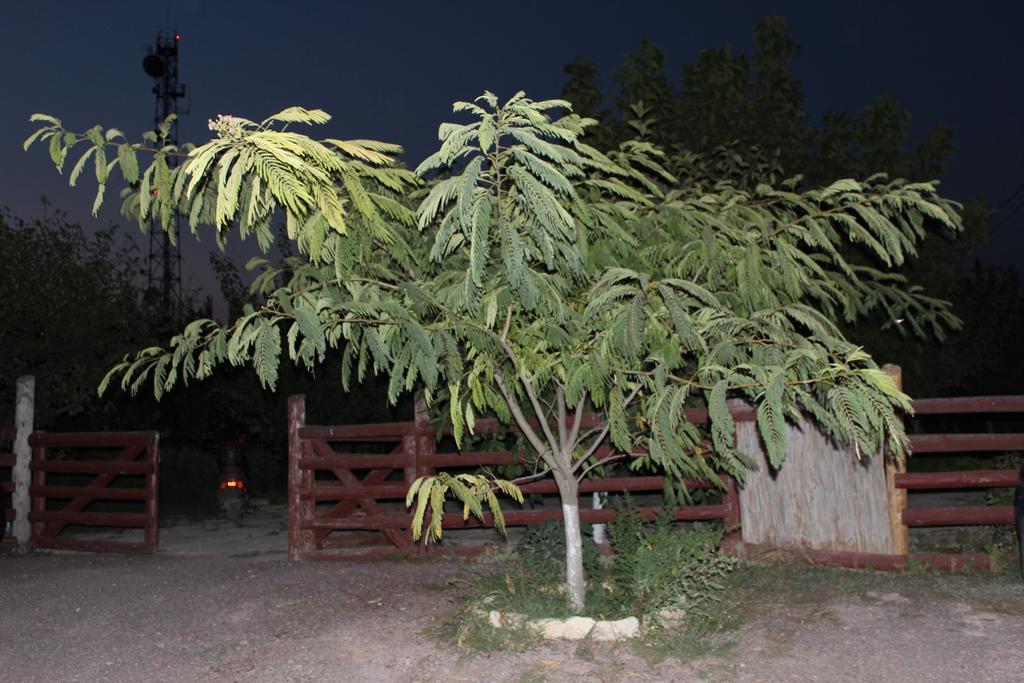茹里洛夫卡 赫拉克丽雅旅馆酒店 外观 照片